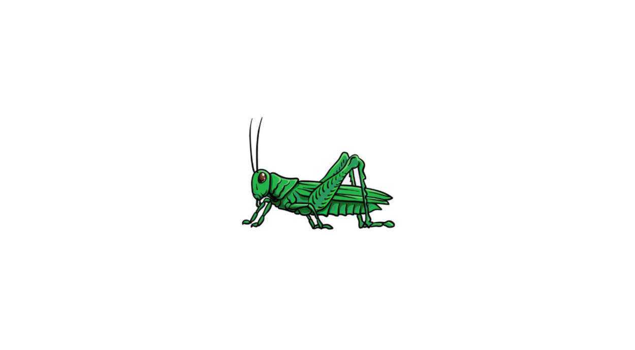 Grasshopper Drawing